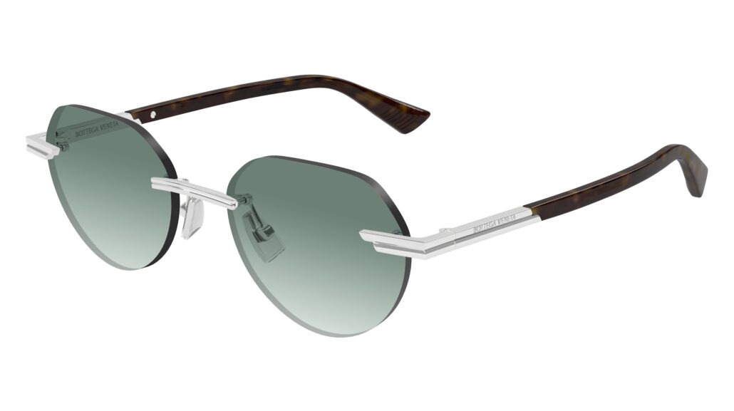 Bottega Veneta SS25 BV1379S 002 Cat