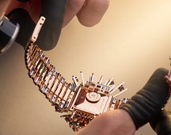 Bvlgari 2025 Gioco di Forme e Colori Secret Watch 104216 craft 013