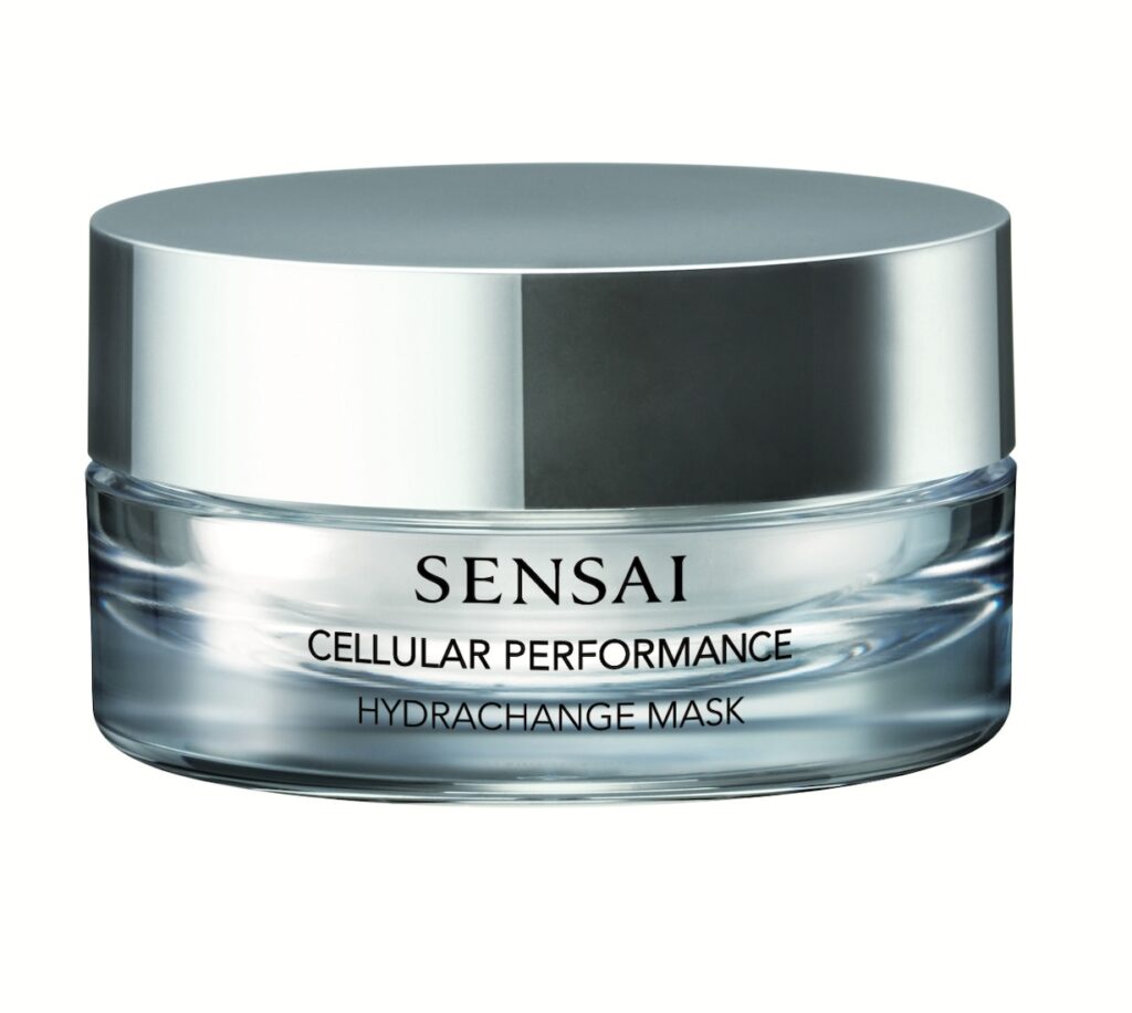 HYDRACHANGE MASK 1024x916 1