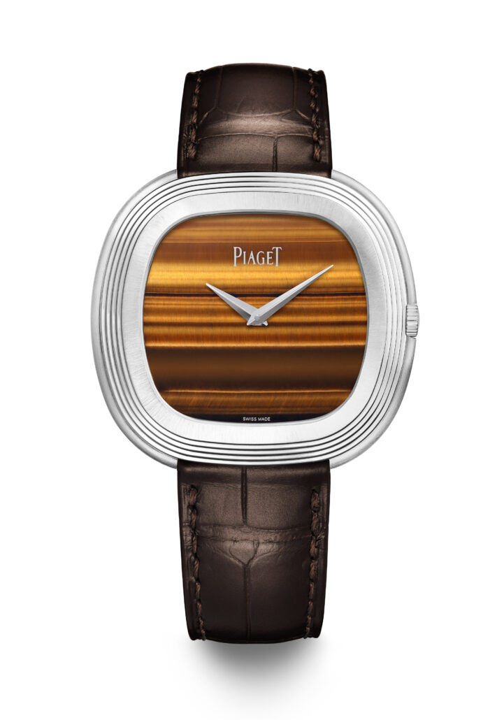 PIAGET ANDY WARHOL WATCH G0A50240 RVB