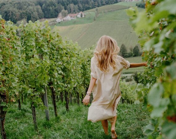 durch die weingaerten laufen c julius hirtzberger fraeulein leni