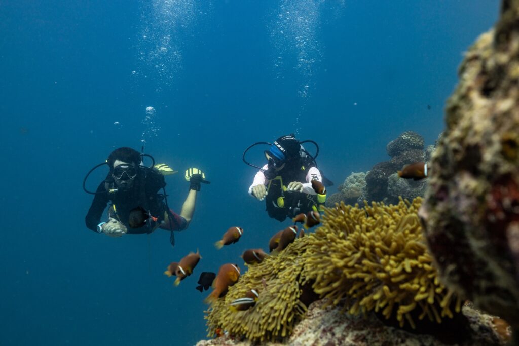 596516 Scuba Diving Avani Fares Maldives Resort 1f142d original 1749436160 1024x683 1