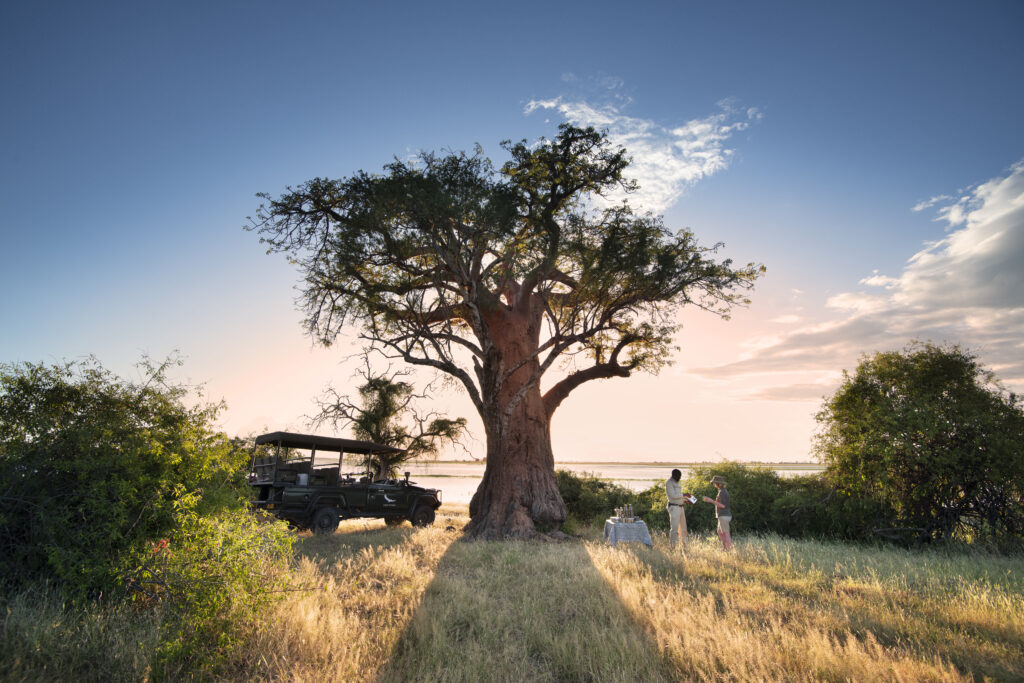 andBeyond Africa Chobe under canvas National Park Experience Boabab tree 1024x683 1