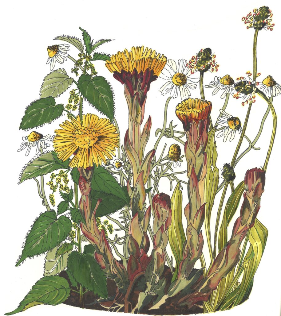 f1588b0d33e038a27bedec45d9541396c4bb5d0e26cbf84be9b65d858487afa2