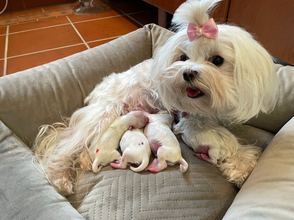 0001bdee 1864 4efc bbfe f8a2906e0c24