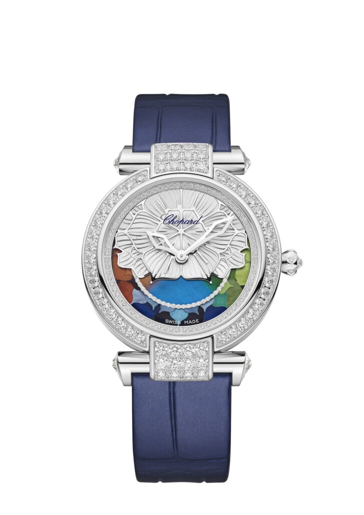 1750341478 385394 1001 01 d3600 v01 copie