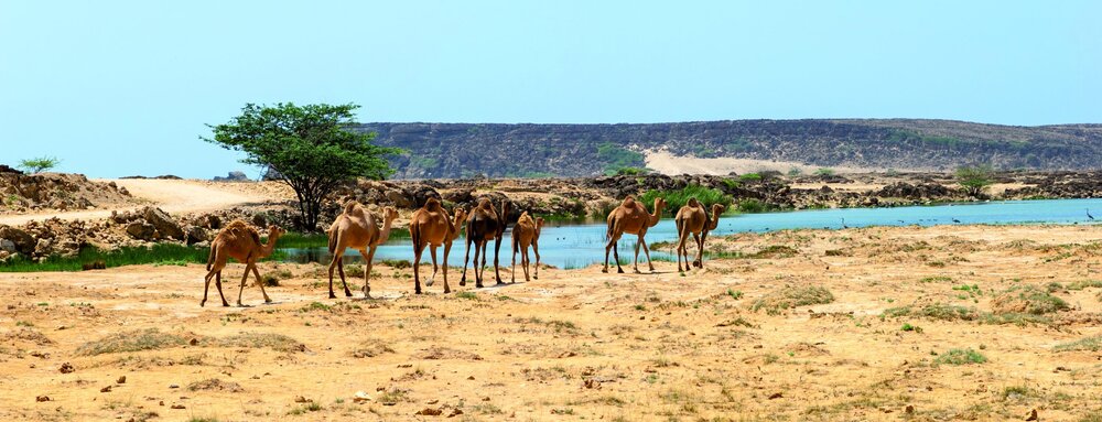 AdobeStock 123485634 scaled 1