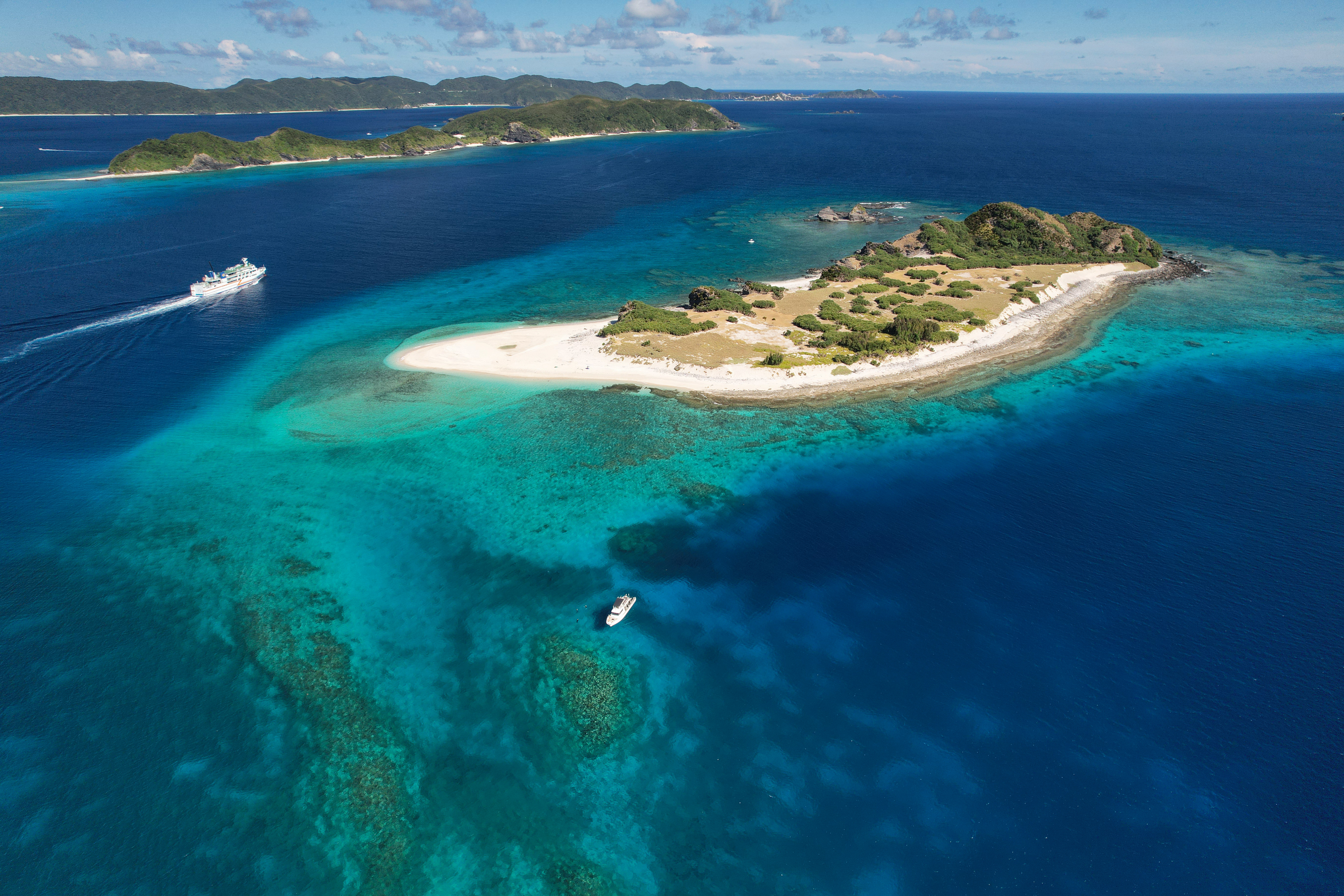 AdobeStock 979528476