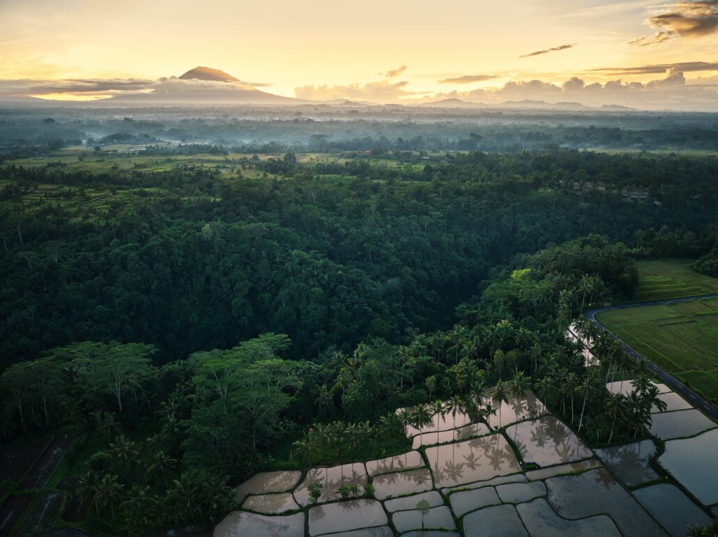 COMO Shambhala Estate Begawan Giri Village 3.jpg