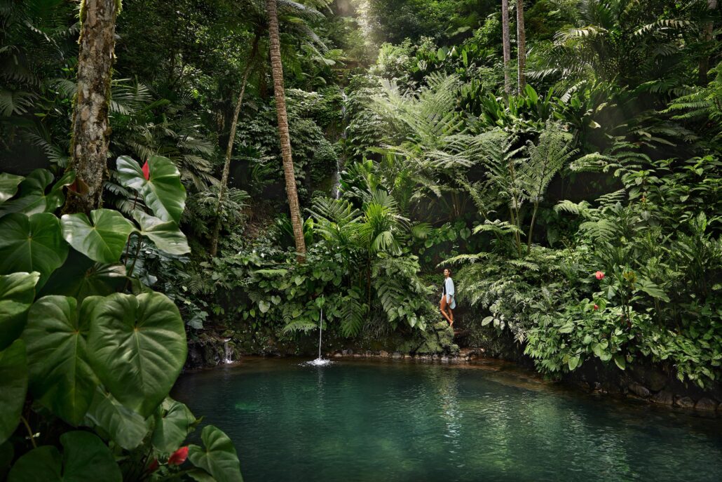 COMO Shambhala Estate Natural Spring Pool