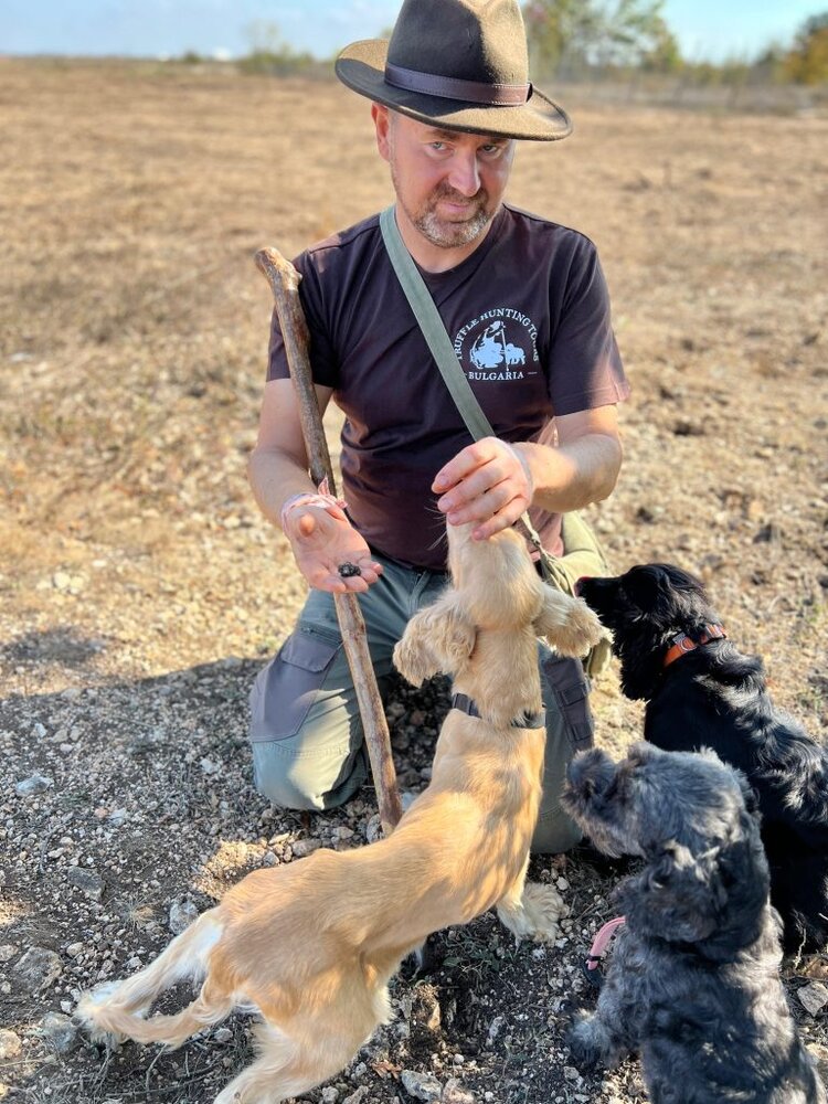 IMG 1048 1 768x1024 1