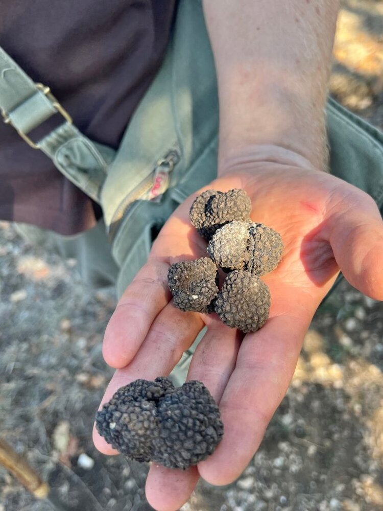 IMG 8227 2 768x1024 1