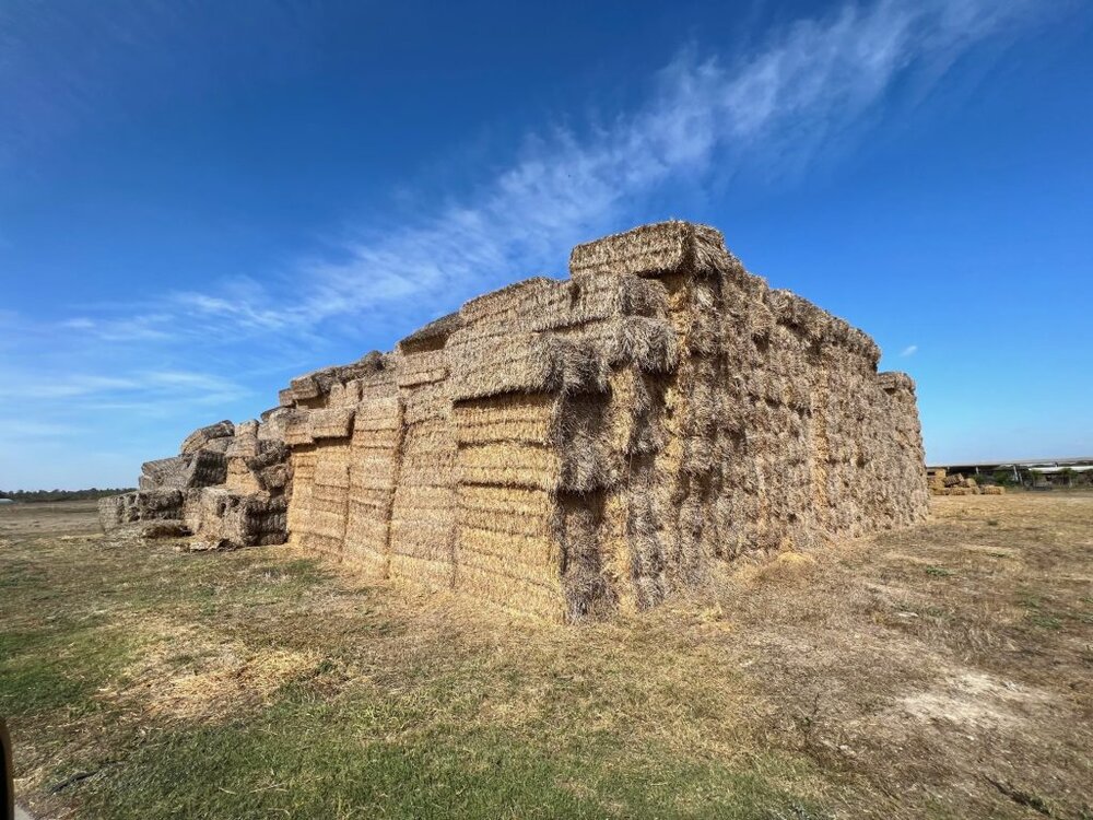 IMG 8299 1 1024x768 1