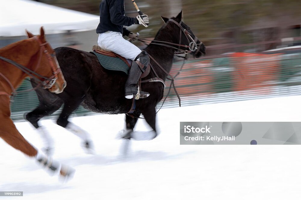 istockphoto 119903192 1024x1024 1