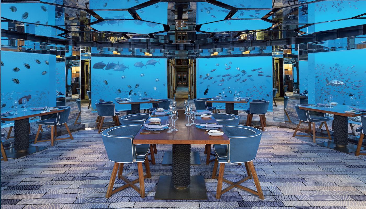 Bildschirmfoto 2024-11-21 um 08.54.10