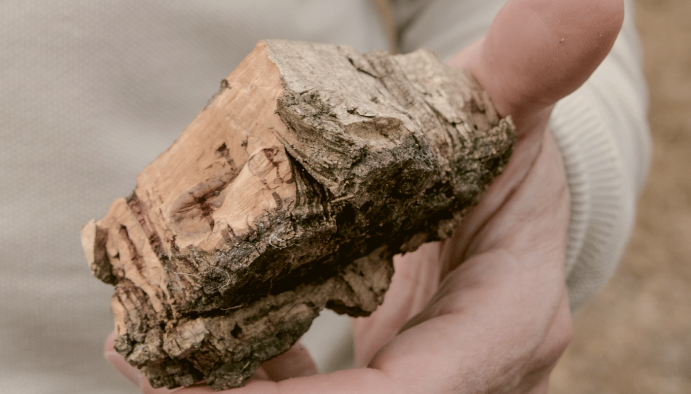 DOMRUINART_BDB_2010_CORK_RUINART-5