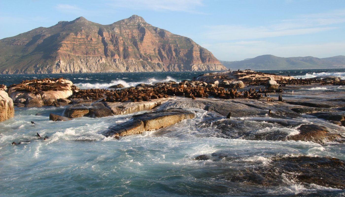 Duiker-island_Südafrika, ©Select Luxury Travel