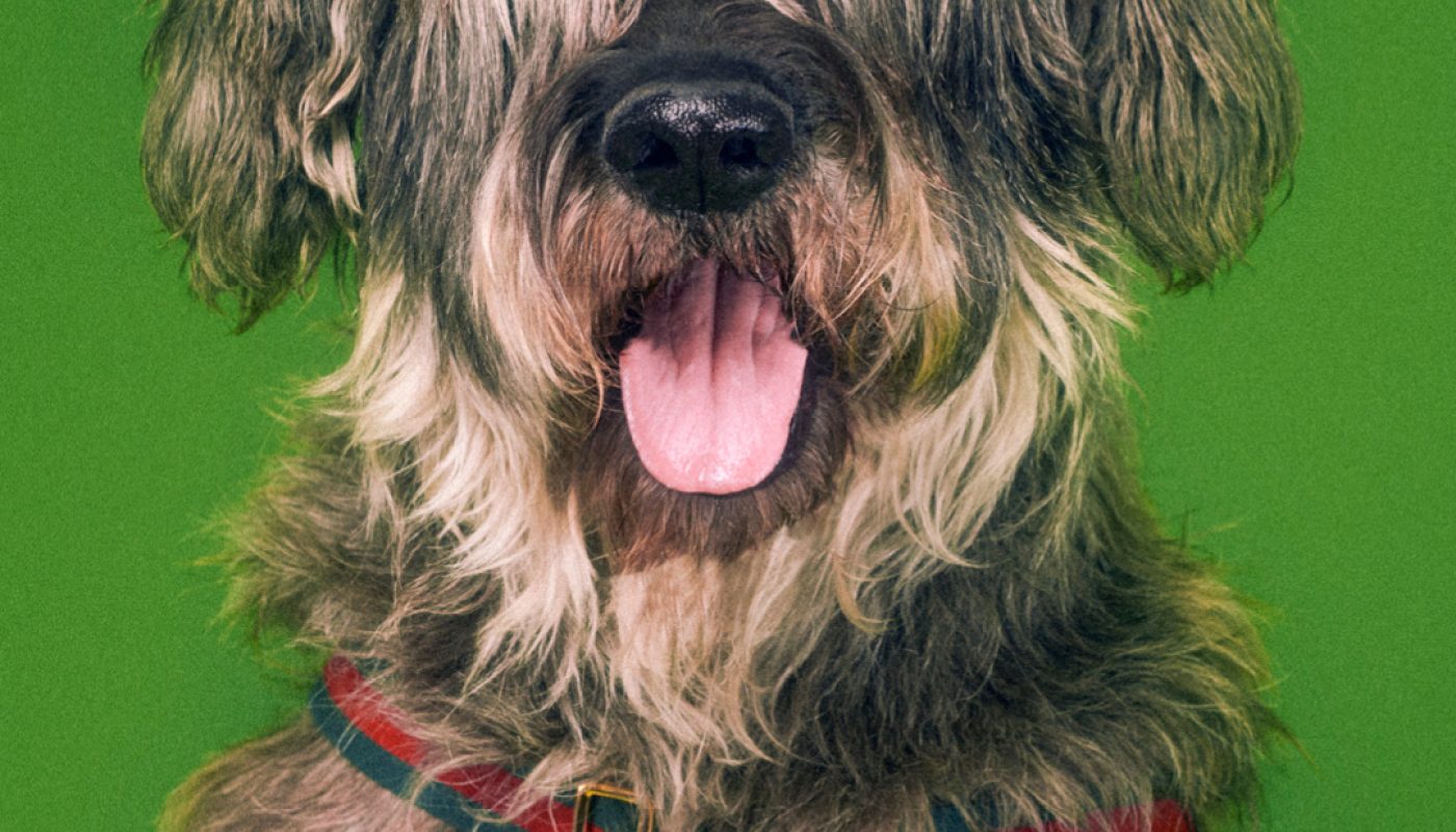 Gucci-Lifestyle-1080x135052-1