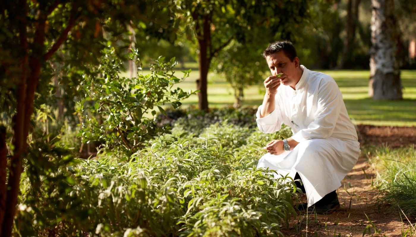 Kräutergarten_(c) La Mamounia