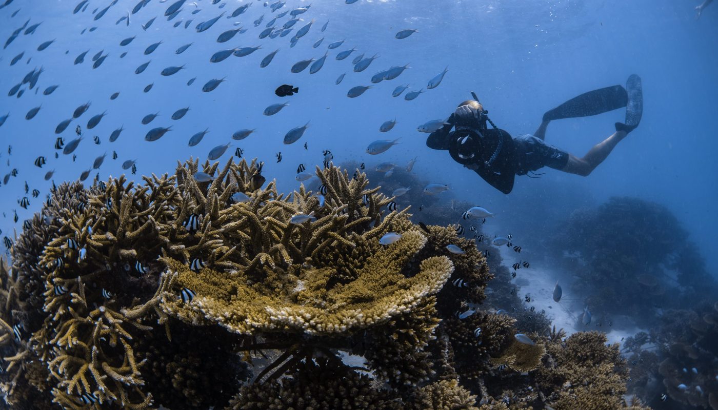 © Sheraton Maldives Full Moon Resort & Spa